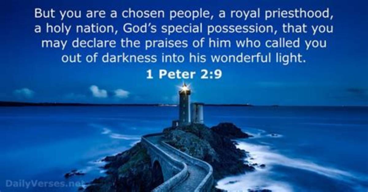1 Peter 2 9 Esv Text Breakdown Word for Word Translation And