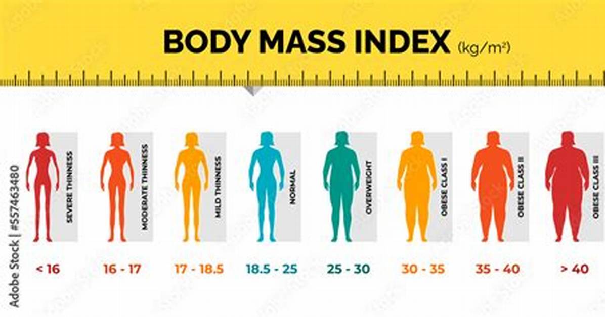 36Kg to Lbs Visual Guide Comparing 79 4 Pounds in Fitness Working Dogs And