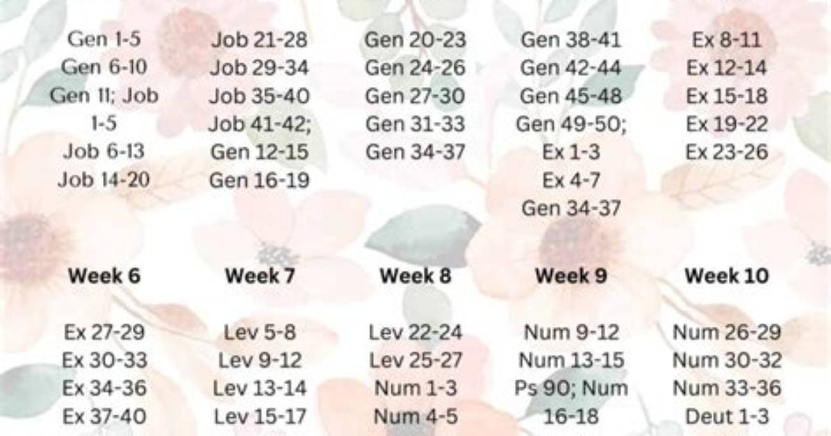 5 Proven Bible Reading Pathways Compared Which Sequence Fits