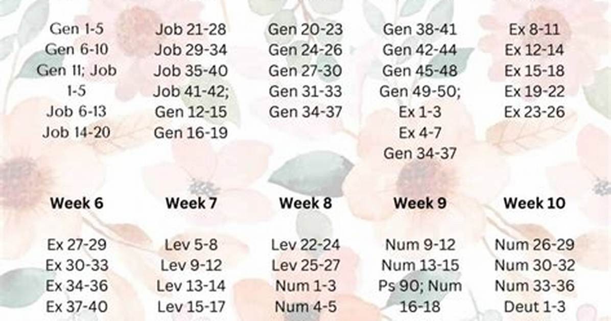 5 Proven Bible Reading Pathways