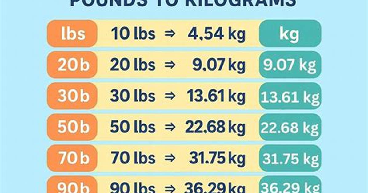 50 Pounds to Kg Why This Exact Conversion Is Causing Airport