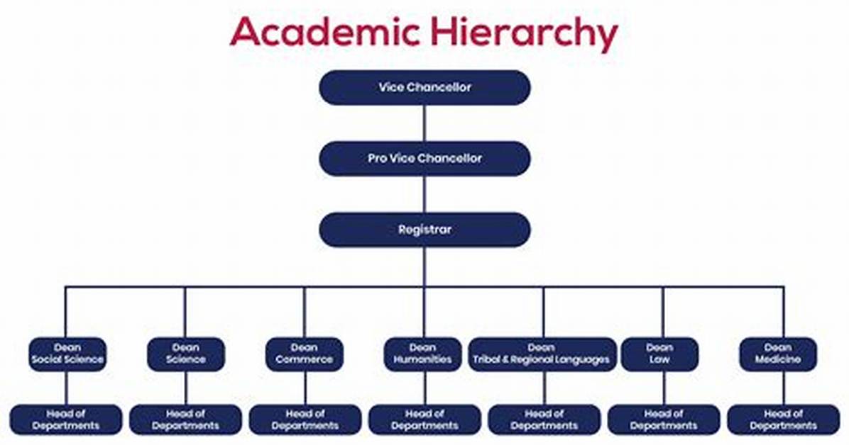 Academic Hierarchy Breakdown Proof of How an Md Fits into Graduate
