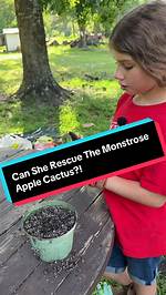 Adelynn's Plant Rescue Secrets: How to Find, Revive, and Save Dying Clearance Plants