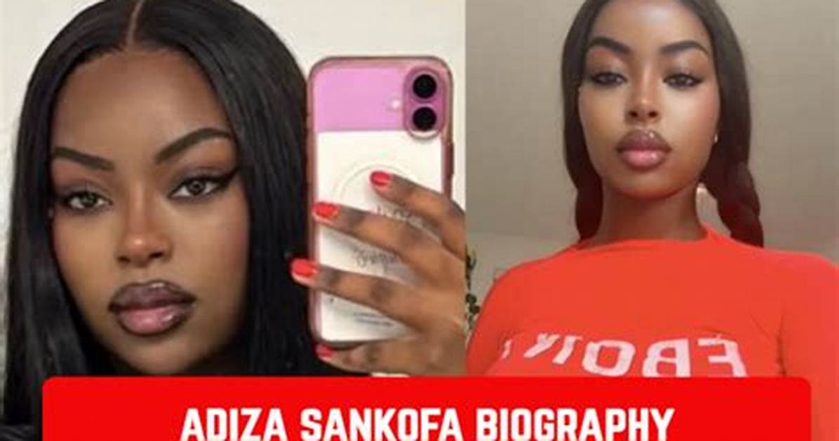 Adiza Sankofa Search Frenzy a Complete Breakdown of How The