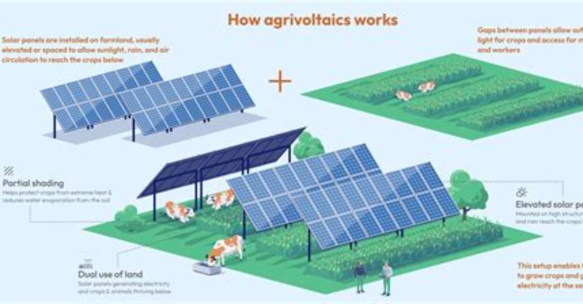 Agrivoltaics in Action Visual Proof That Solar Fields Are the New