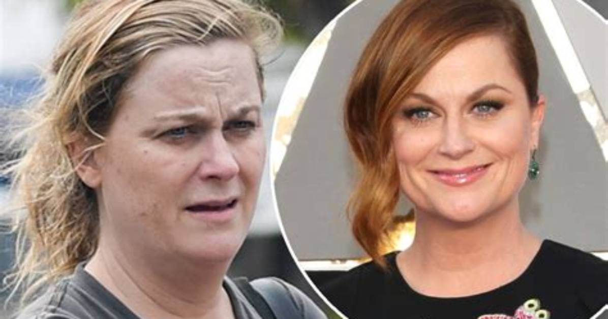 All Grown up Amy Poehler Makes Rare Appearance with Sons On