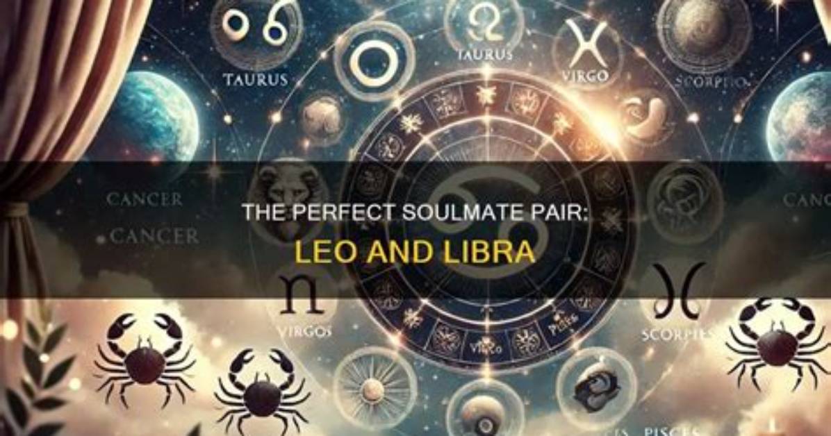 Are Leo and Libra Truly Soulmates the Hidden Truth Behind Their Intense Fire and Air
