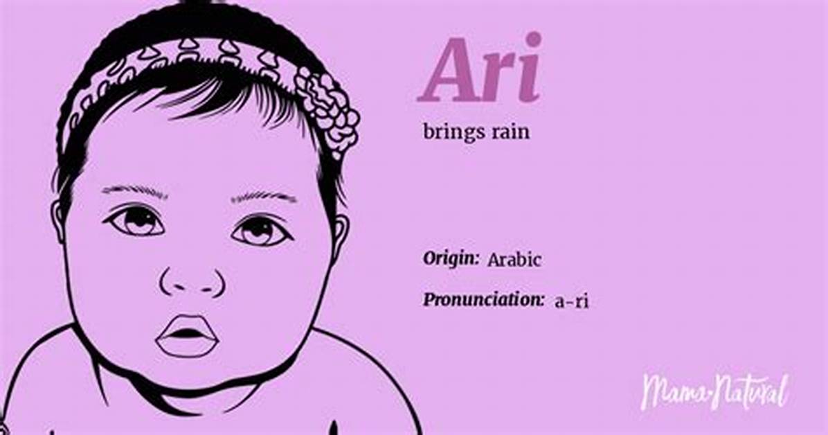Ari Name Meaning Origin and Gender the Complete