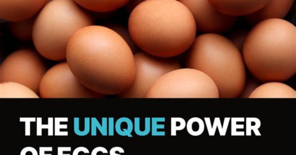 Biological Proof Why Eggs Can Never Be Dairy Under Any