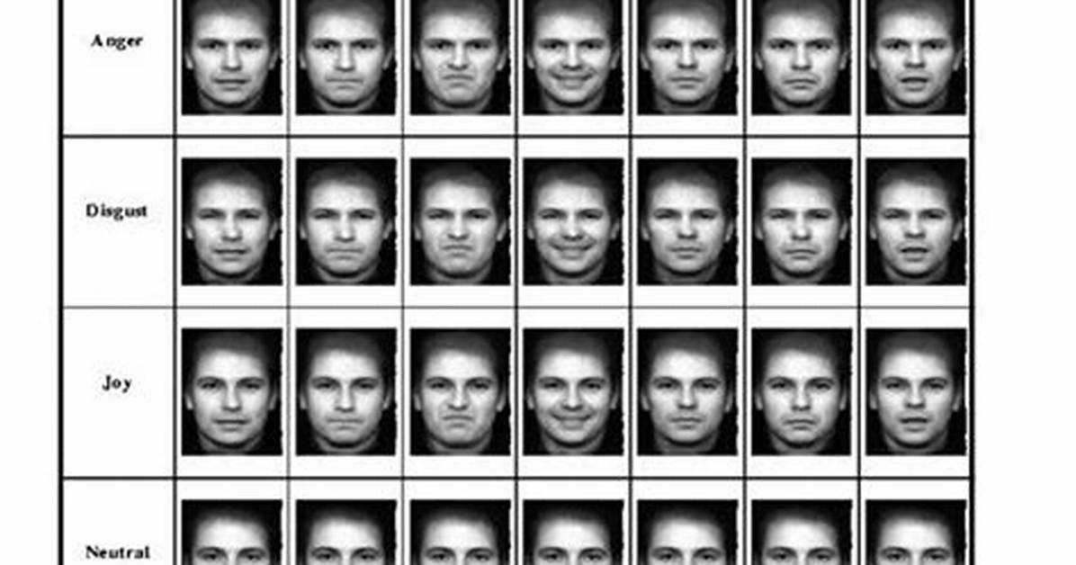 Body Language Analysis the Micro Expressions and Tells That Exposed