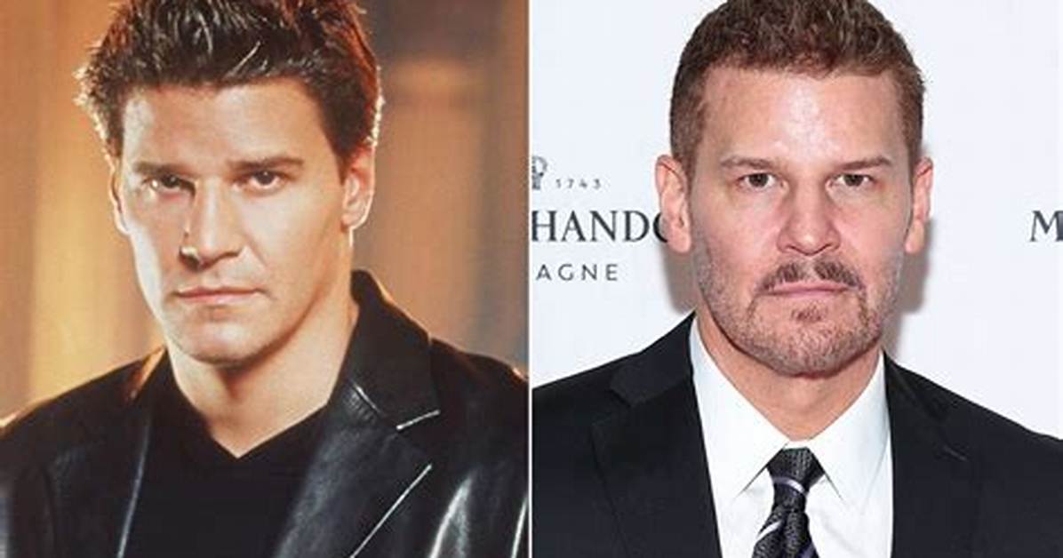 Booth vs Sully Did David Boreanaz and Eddie Mcclintock Clash Behind The