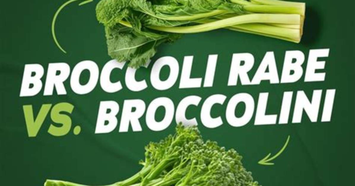 Broccoli Rabe vs Broccolini Fact Check Are They Even Related To
