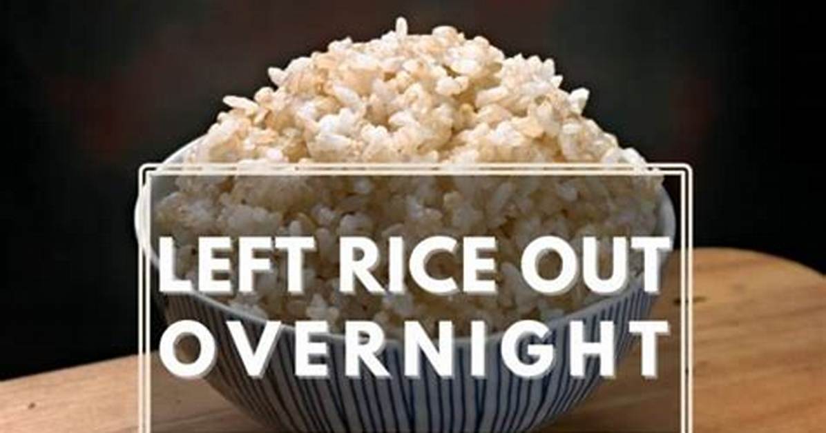 Can You Eat Cooked Rice Left out for 4 Hours Food Safety Experts Fact Check The