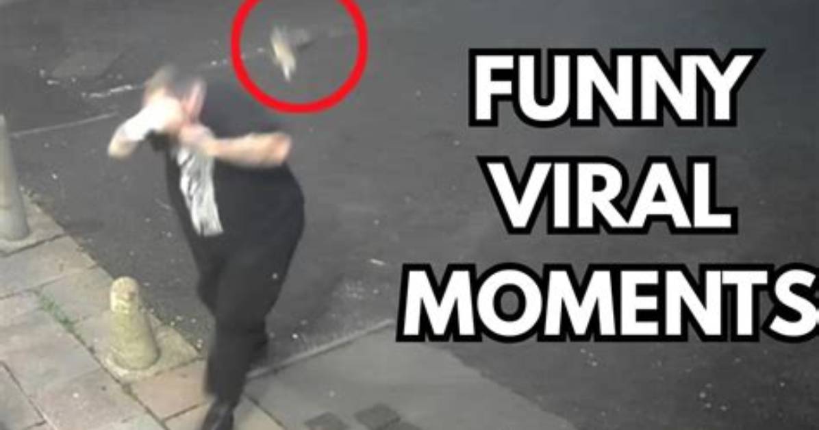 Caught on Camera Inside the Viral Video of the Airport