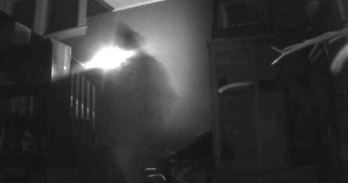 Caught on Camera Video Evidence of Desecration and the Battle Over