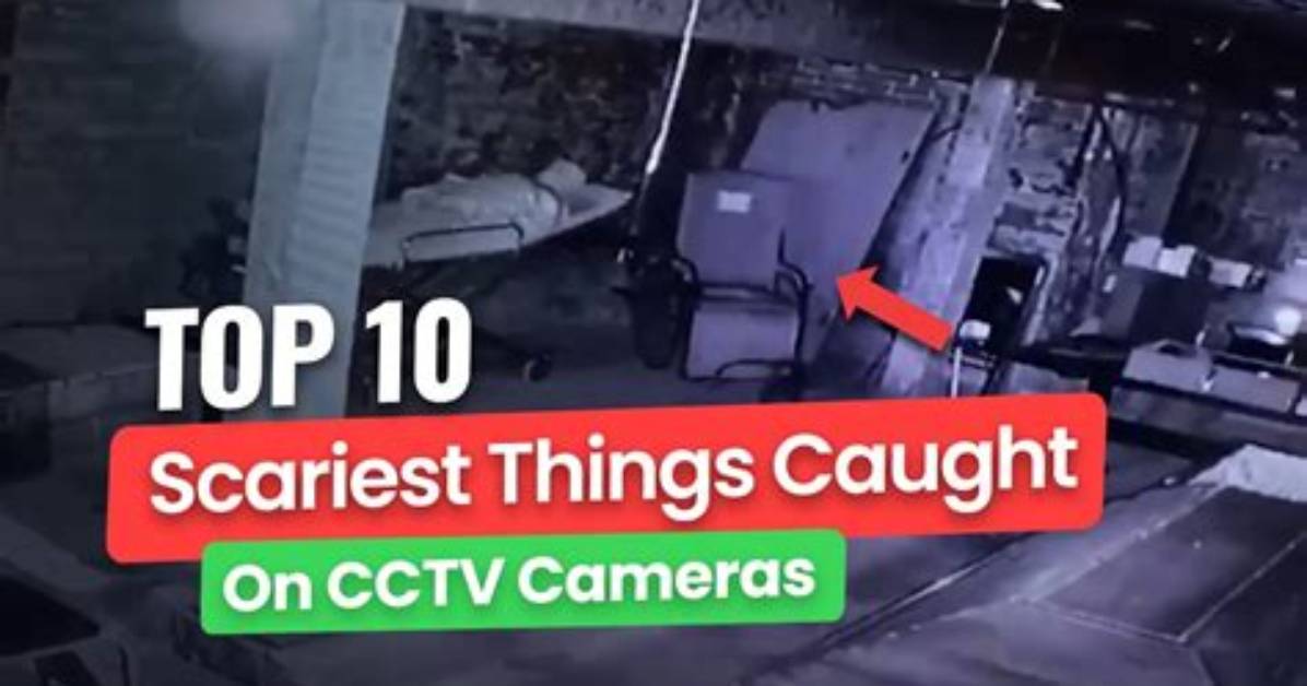 Caught on Camera