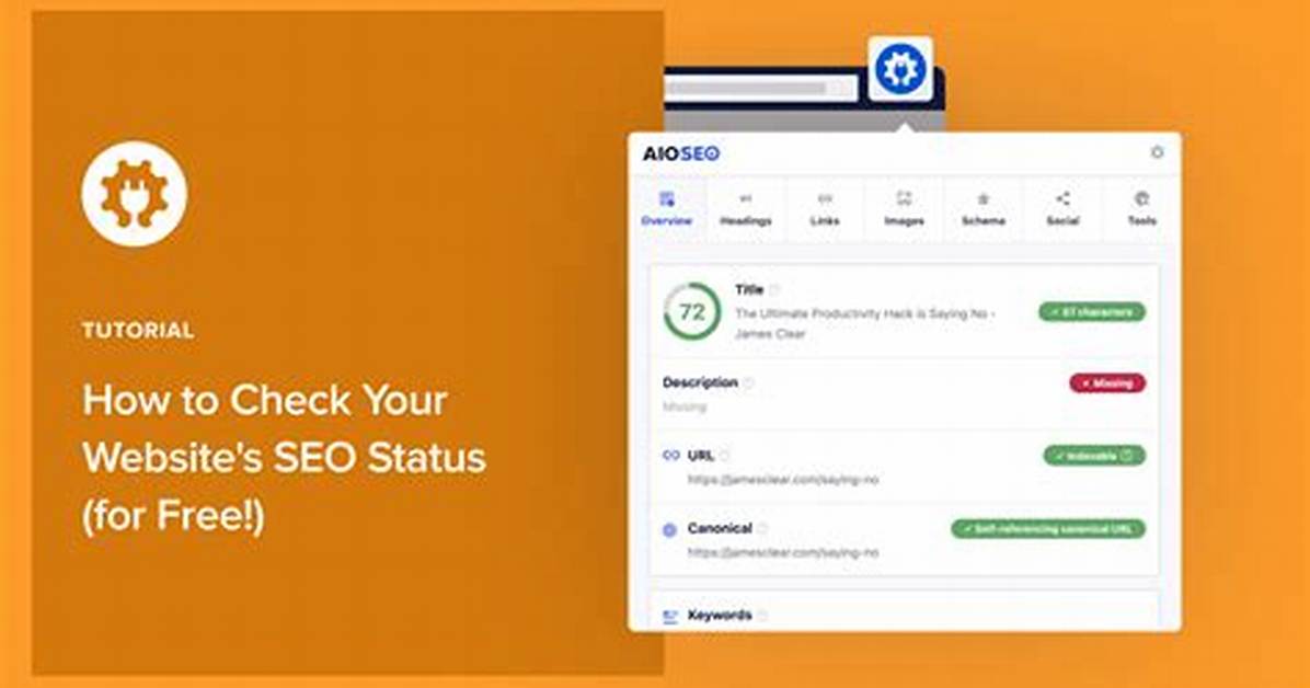 Check Your Website S