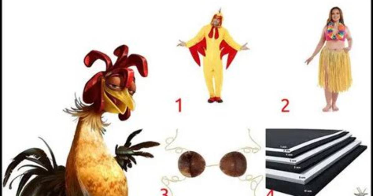 Chicken Joe Costume Phenomenon Between Surf S up Cosplay And