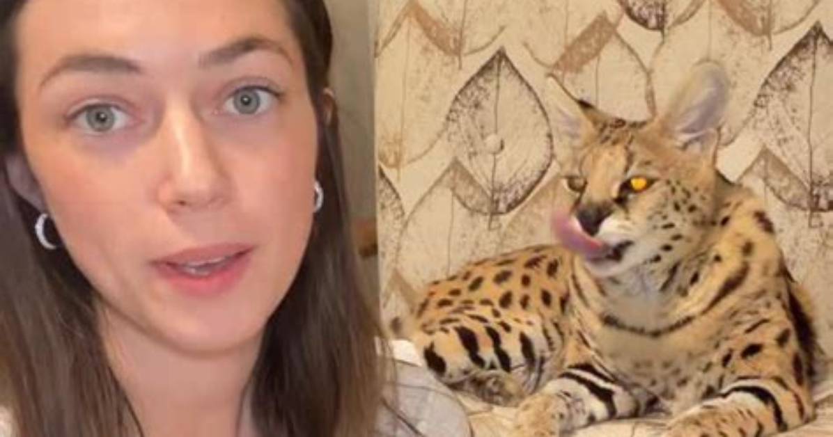 Chloe Amau Viral Trend Fact Check Real Creator Footage Or