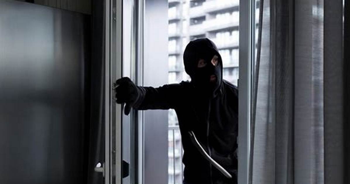 Chronicle of a Home Invasion from First Sighting to Full