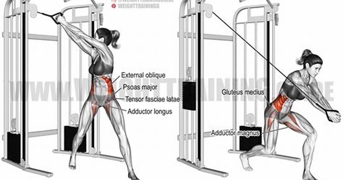 Complete Cable Woodchop Masterclass Variations Sets Reps And