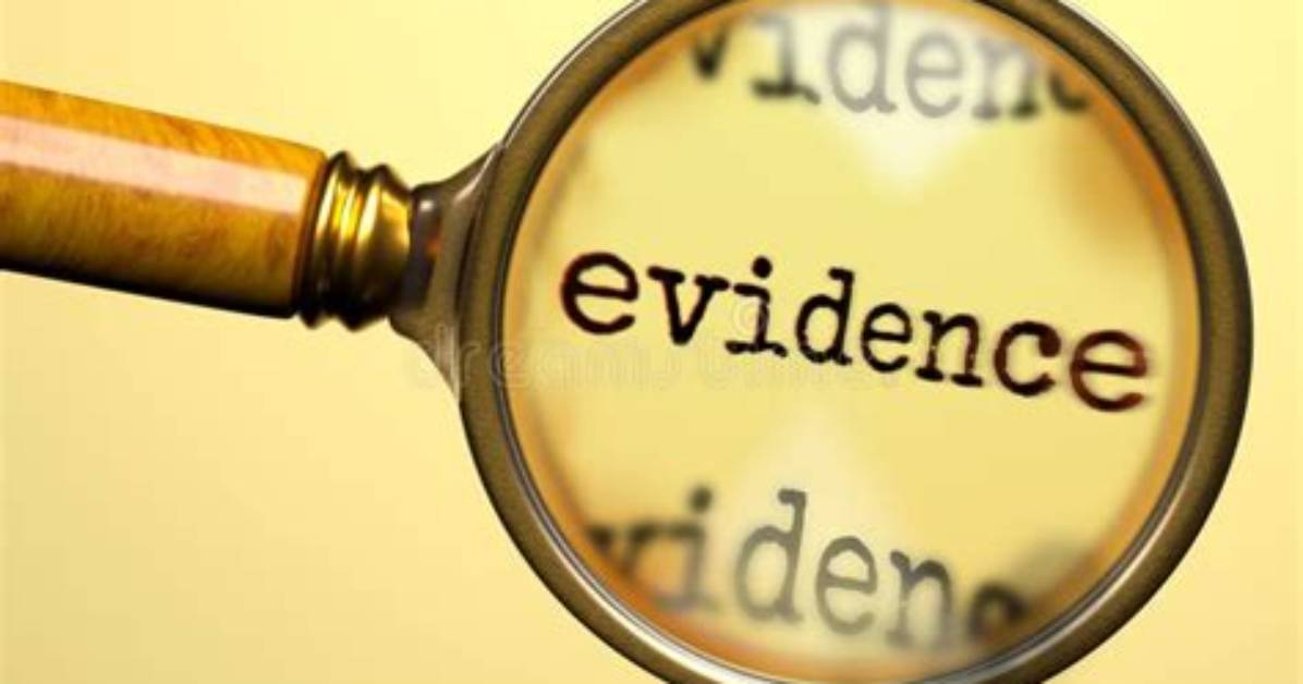 Danica Rose Muong Claims Analyzing Visual Evidence And