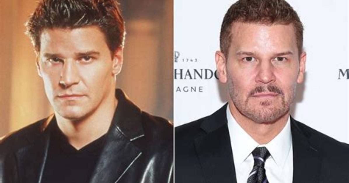 Did David Boreanaz Ever Serve in the Military the Truth Behind the Seal