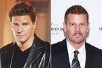 Did David Boreanaz Ever Serve in the Military? the Truth Behind the Seal Team Star