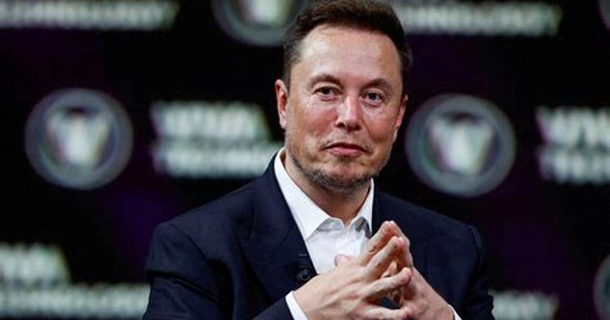 Did Elon Musk Really Team up with Anna Malygon Fact Checking the Viral