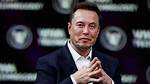 Did Elon Musk Really Team up with Anna Malygon? Fact-Checking the Viral Creator Rumors