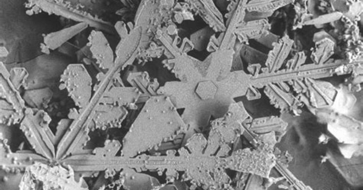 Diy Snowflake Microscopy How to View Crystals and Create Permanent