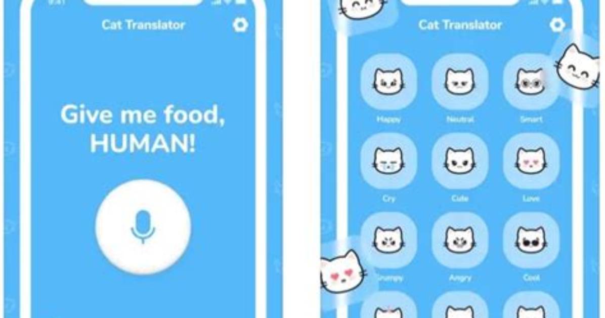 Do Cat Translator Apps Really