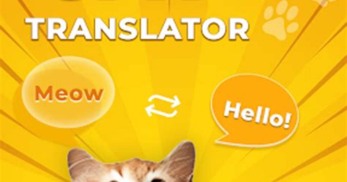 Do Cat Translator