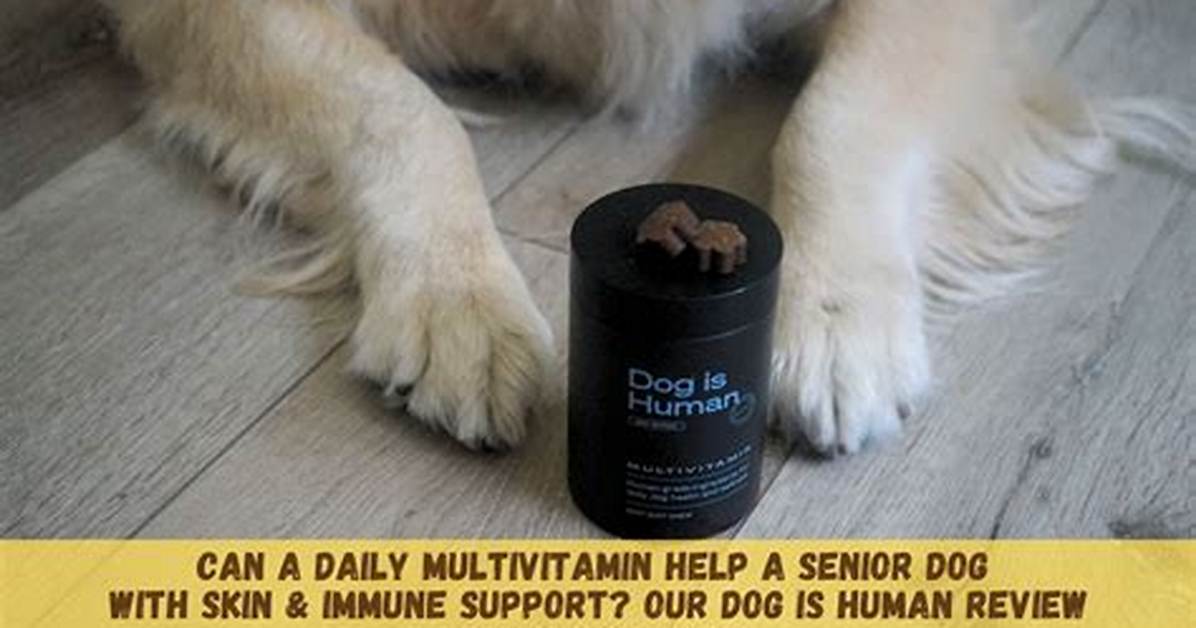 Dog Is Human Multivitamin Miracle All in One Chew or Overpriced
