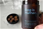 Dog Is Human Multivitamin Review: Does This All-in-One Chew Actually Work?