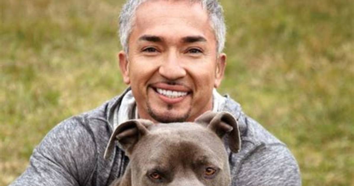 Dog Whisperer Tragedy Fact Check Debunking Viral Claims and Lethal