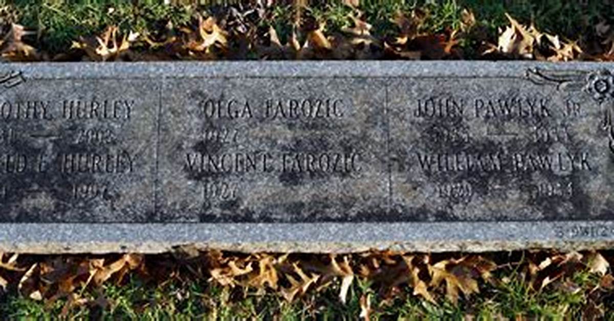 Dorothy Pawlyk Hurley How a Private Citizen Became a Viral Web