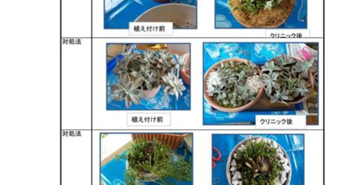 %E5%89%8D%E6%A9%8B%E3%81%Ae%E3%83%9B%E3%83%86%E3%83%Ab%E6%88%A6%E7%B7%9A%E7%95%B0%E7%8A%B6%E3%81%82%E3%82%8A %E6%9D%B1%E6%A8%Aainn%E5%89%8D%E6%A9%8B%E9%A7%85%E5%89%8D%E3%81%Ae%E5%Ad%98%E5%9C%A8%E6%84%9F%E3%81%A8%E6%9C%80%E6%96%B0%E5%Ae%Bf%E6%B3%8A%E3%83%88%E3%83%Ac%E3%83%B3%E3%83%89 150. Jpg