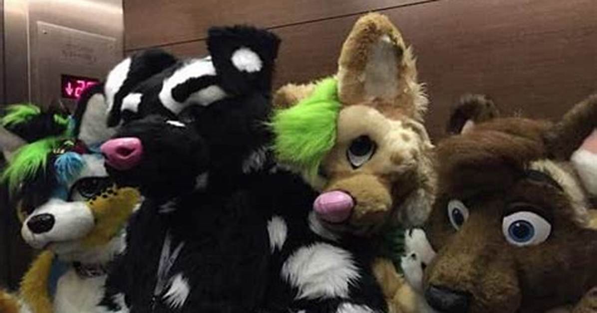 Everyone Secretly Loves Furries Inside the Unexpected Mainstream Explosion of Cute