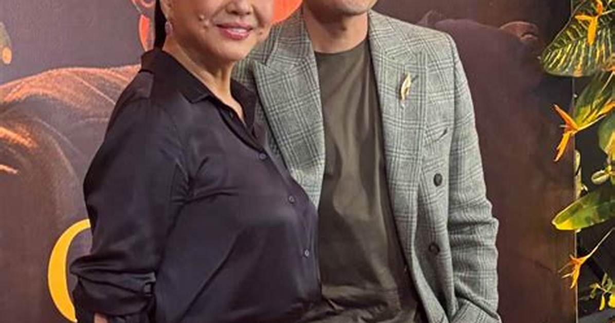 Everything to Know About Judy Santos Relationship to Romeo Career And