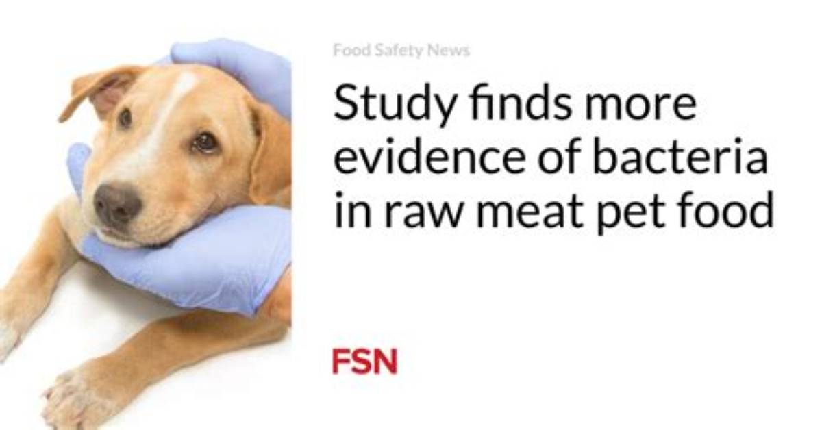 Examining the Viral Evidence Was Dog Meat Ever Featured on a Hong Kong Fast