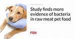 Examining the Viral Evidence: Was Dog Meat Ever Featured on a Hong Kong Fast Food Menu?