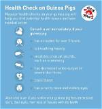 Fact Check: Are Guinea Pigs Really Overrunning Los Angeles or Is It Just a Housing Meme?