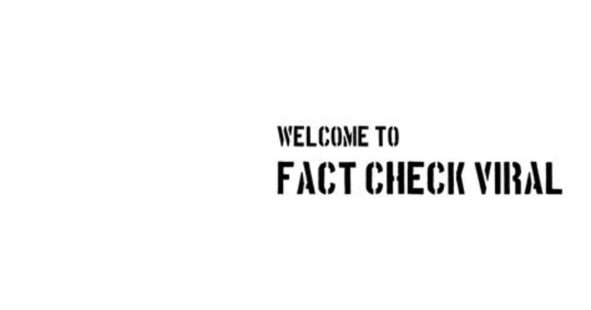 Fact Check Are the Viral Morgan Lane Videos Real Or