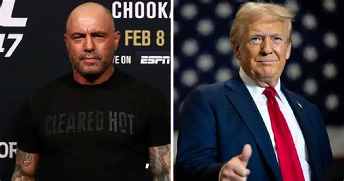 Fact Check Did Joe Rogan Split from Jessica Ditzel Over