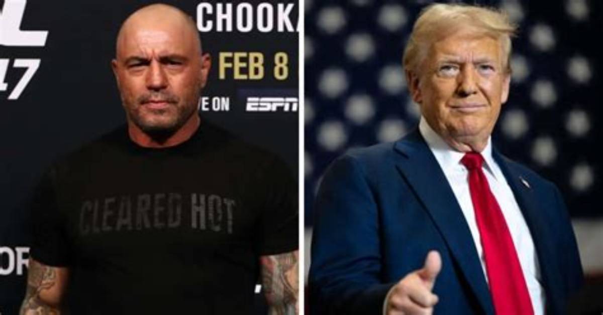 Fact Check Did Joe Rogan Split
