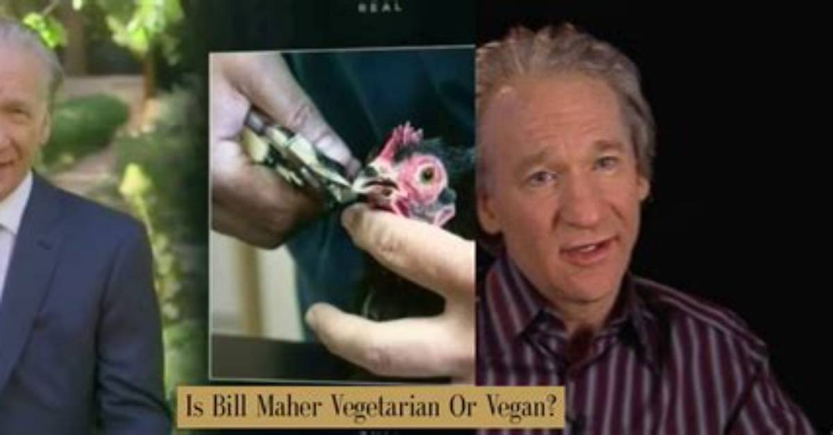 Fact Check Is Bill Maher a Vegan or Just an Unapologetic