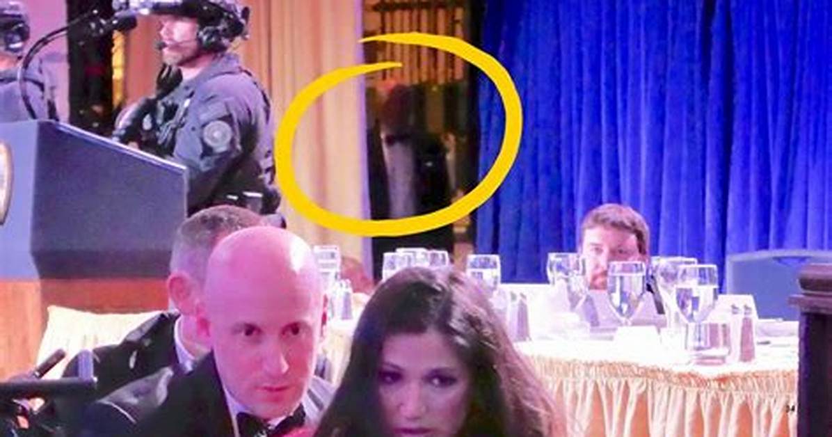 Fact Check the Reality Behind the Jacklyn Roper Online Rumors And