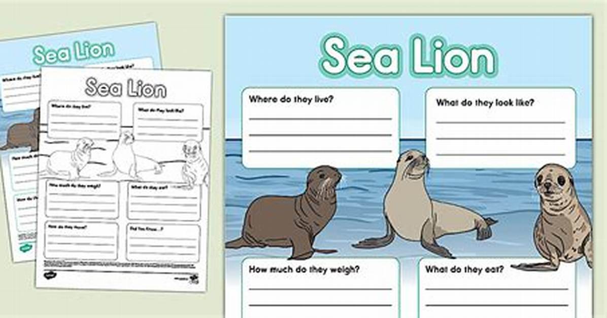 Fact Check the Truth Behind Sea Lion Tails vs Seal