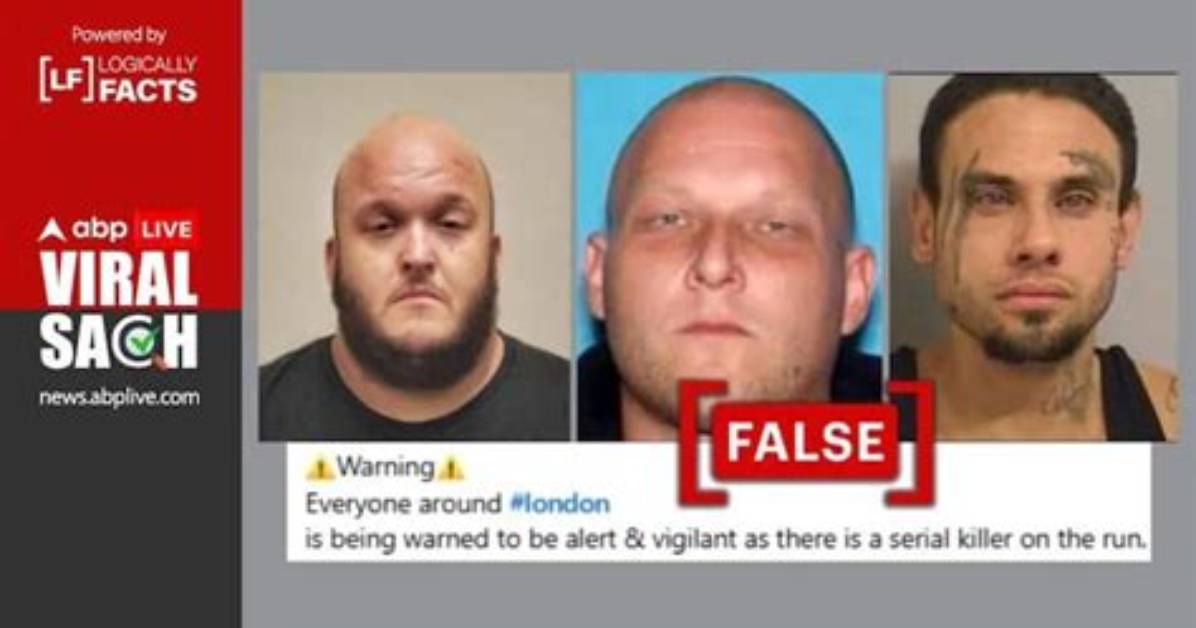 Fact Check the Truth Behind the Viral Ava Louise